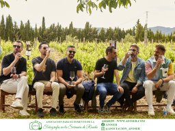 Festival Mar de Tethys 2026 - Bodega Vetas